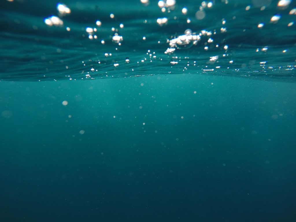 Underwater, close to the surface.