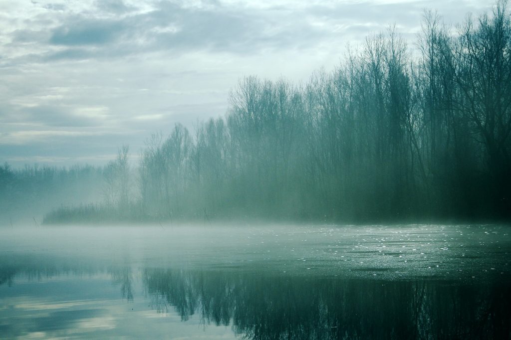 Mist-wreathed lake surrounded trees