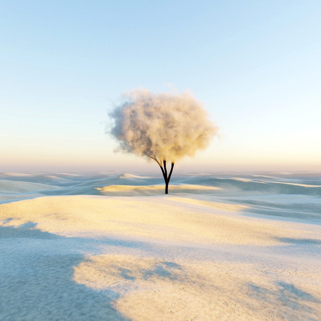 A tree with a corona made of clouds stands in a pristine white desert