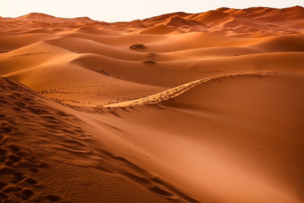 Sandy dunes of a desert