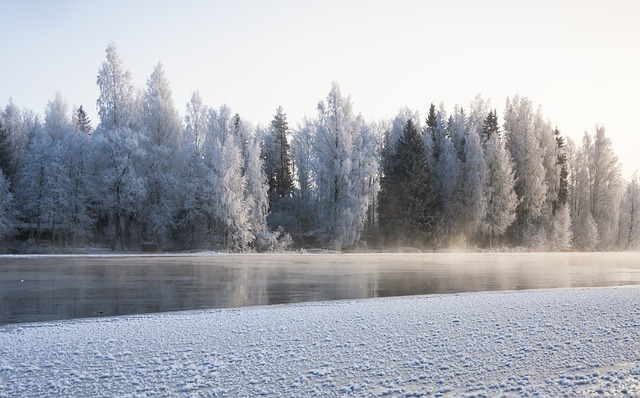 Icy banks of a river in winter