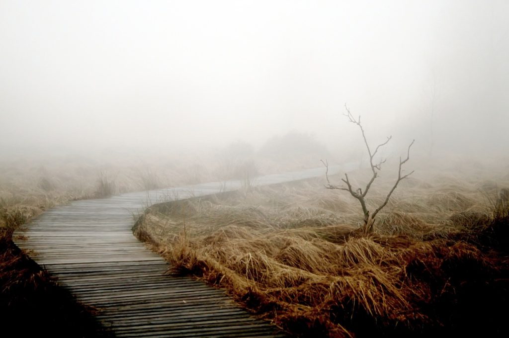 A foggy path through the moors.