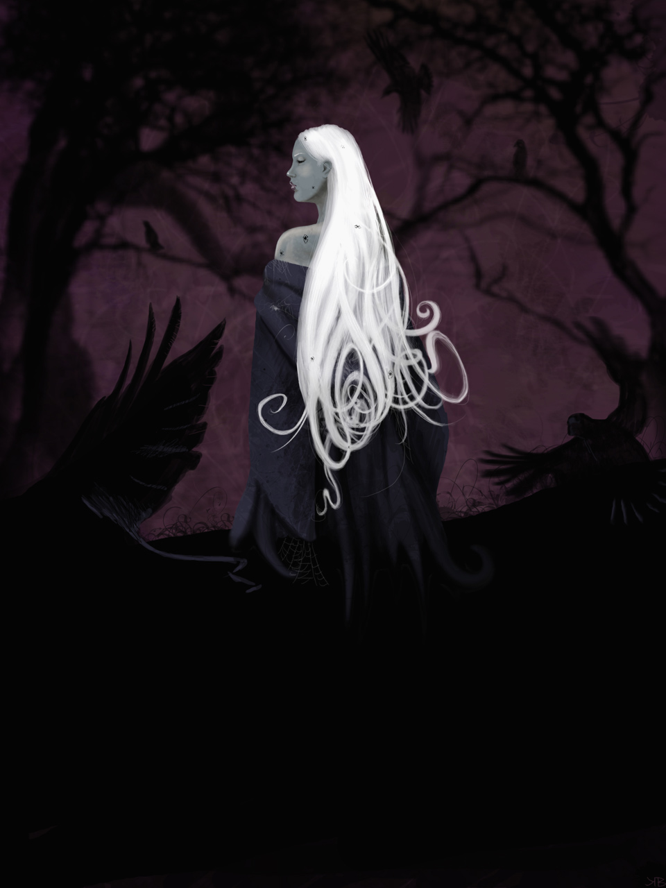 Spiders and Crows, by Kaileigh