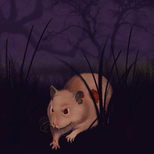 Squibbles, by Kaileigh