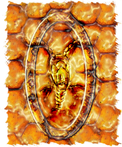 The Seal of Keph - Lusternia