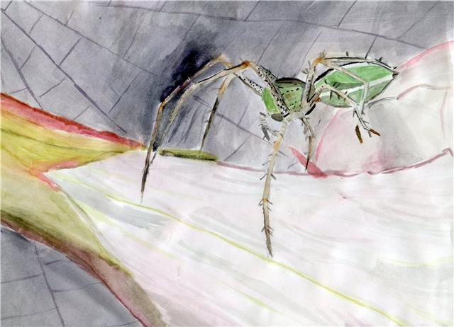 Spider of the Glomdoring - Lusternia
