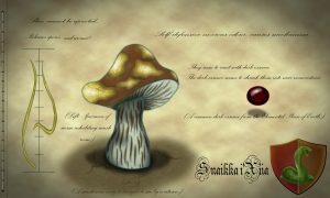 Research, by Arimisia