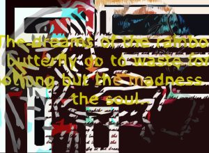 The Madness of the Rainbow Butterfly comes to nothing but Insanity in the soul, by Sakr