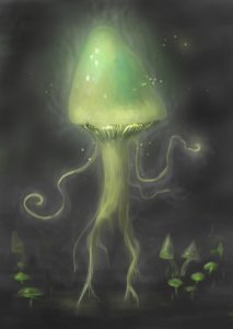 Shroom’s of Serenwilde, by Elyse