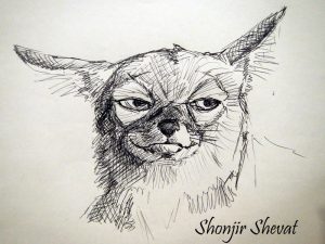 Shonjir Shevat, by Shonjir