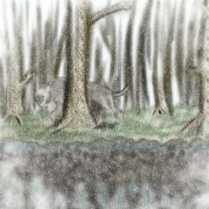 Snow Valley, by Arimisia