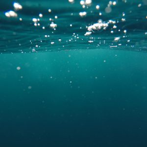 Underwater, close to the surface.