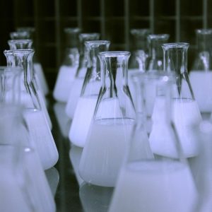 Laboratory flasks filled with white liquid