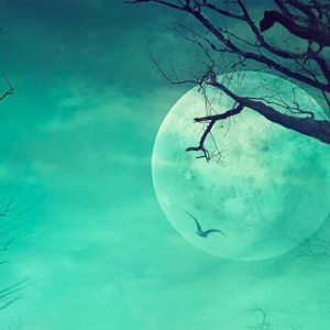 A foggy sky with a full moon and silhouetted, bare trees.