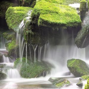 Mossy rocks over which flows a waterfall in multiple streams.
