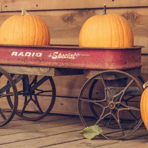 Cart filled with pumpkins